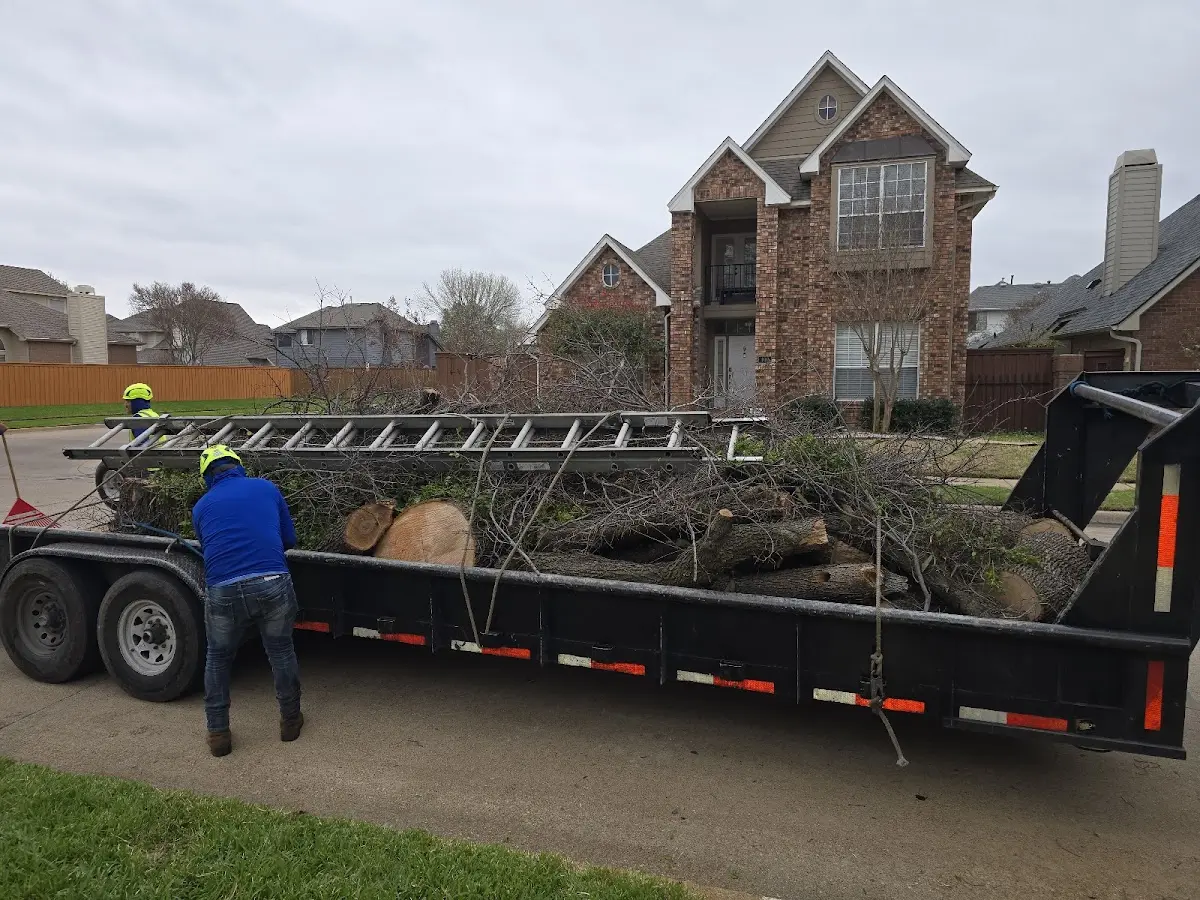 Expert Tree Pest Control with proper safety equipment in Brunswick